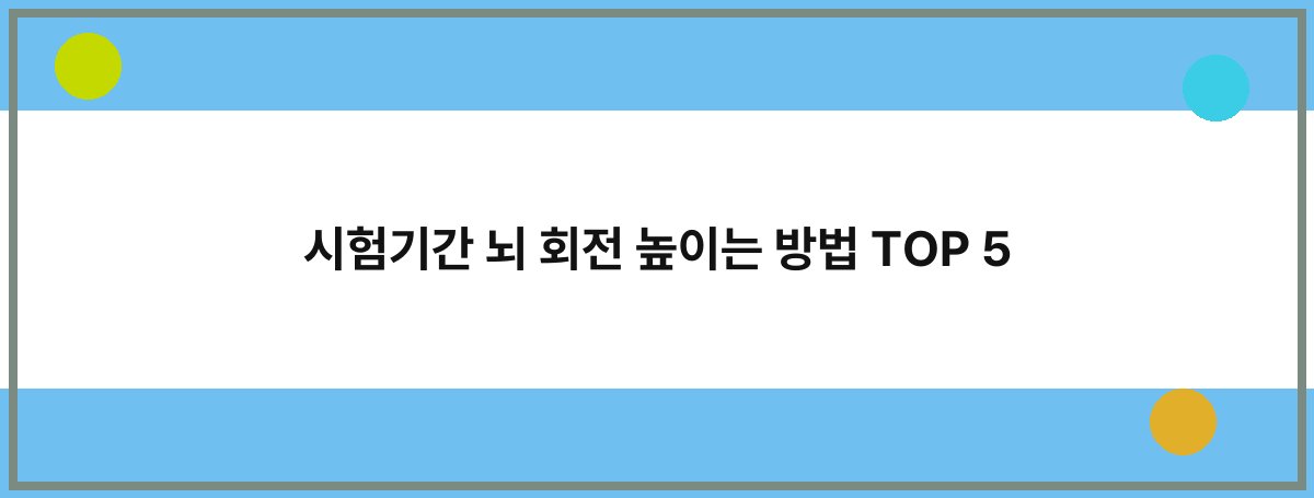 시험기간 뇌 회전 높이는 방법 TOP 5